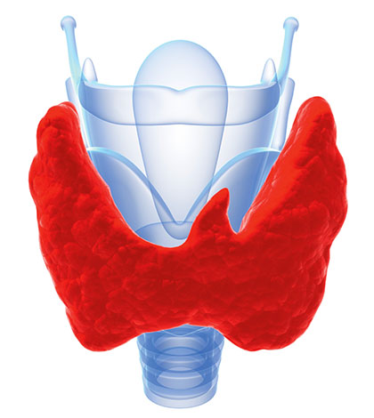 Unterfunktion der SD