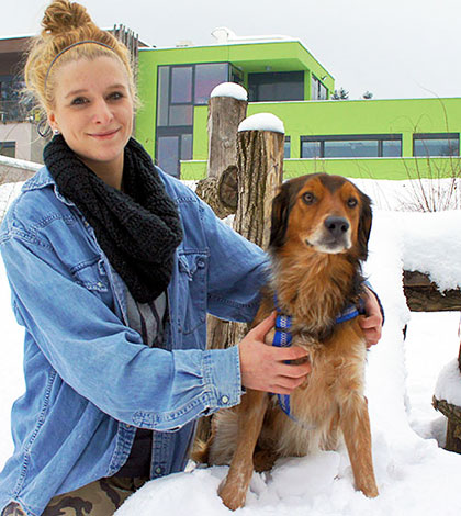 Hund kehrt zu Tierheim zurück