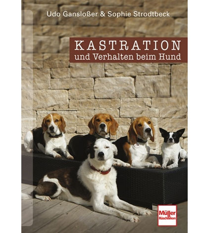 Kastration und Verhalten beim Hund