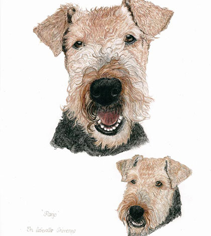 Tierportraits von Gundula Bernert