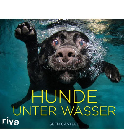 Hunde unter Wasser
