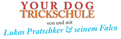 trickschule