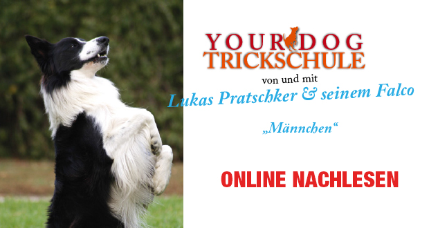 Trickschule mit Lukas&Falco – YOUR DOG (05/12)