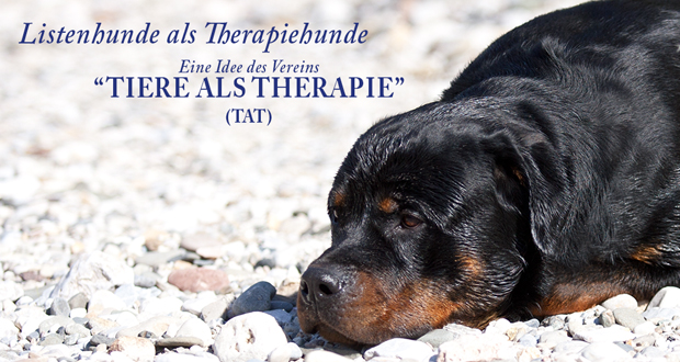 Rottweiler, Staff & Pit als Therapiehunde