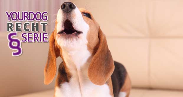 Rechtserie: Lärmbelästigung durch nächtliches Gejaule