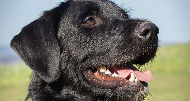 Zivilcourage einer 29-jährigen rettet Leben