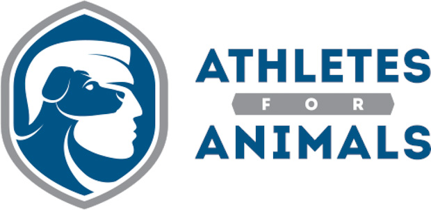 Die Hunde von Sotschi