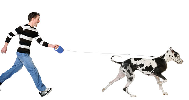 Barcelona: Alle Hunde an die Leine