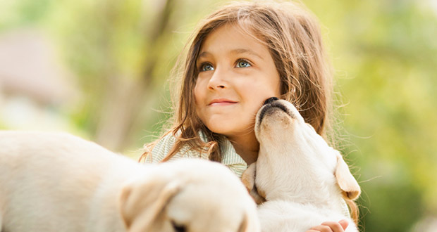 Die beliebtesten Hundenamen