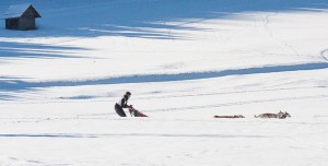 SliderHundeschlitten