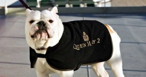 Ein Modeaccessoire für alle Hunde-Passagiere: Der schwarze Mantel der "Queen Mary 2"
