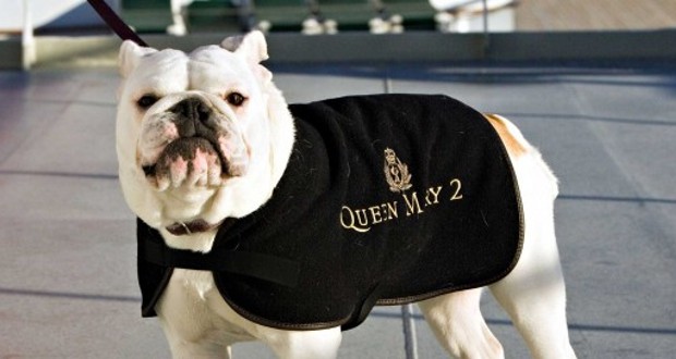 Queen Mary 2: 12 Hunde stechen in See