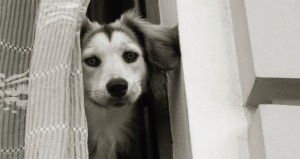 SliderVerlassensangst