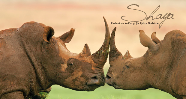 SHAYA – Ein Malinois im Kampf für Afrikas Nashörner