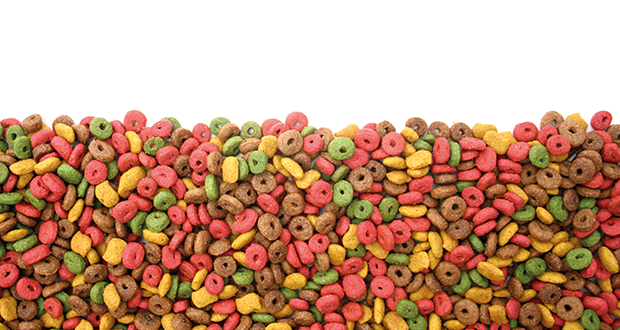 Mysterium Deklaration: was darf ins Hundefutter?