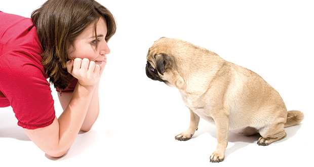 Kommunikation – Gemeinsamkeiten von Hund und Mensch