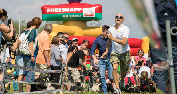 1. Kärntner Hundetage 2014