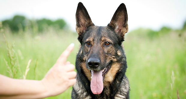 Fotografieren wie Profis: 7 Tipps für dein Traumfoto