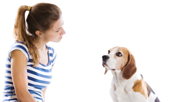 So sehen Hunde uns Menschen