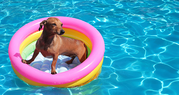 6 Tipps für heiße Sommertage