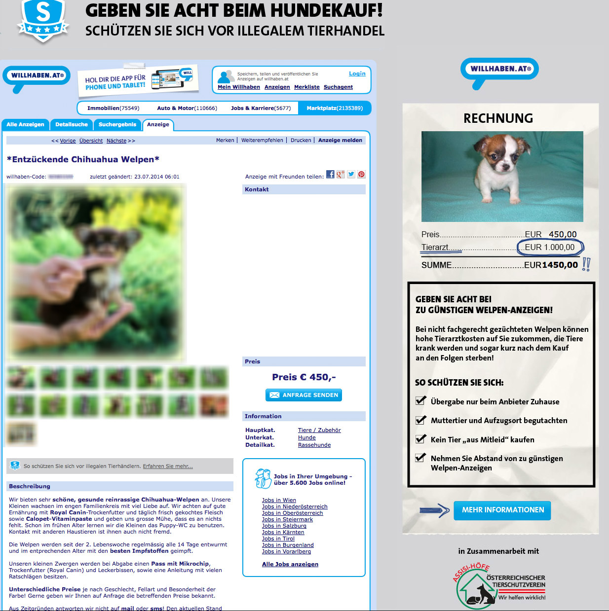 Hunde-Anzeige auf Willhaben