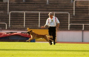 (C) Mag.a Barbara Bohn, MA