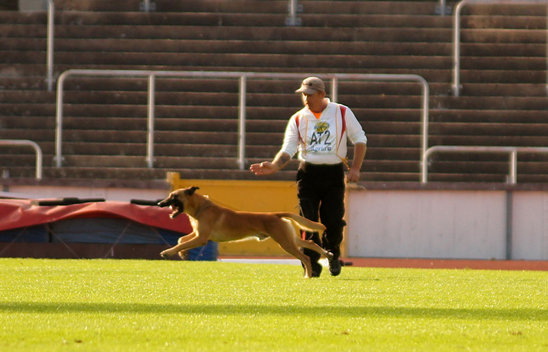 Das war die FCI WM 2014 in Malmö