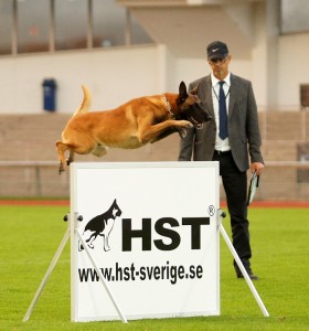 (C) Mag.a Barbara Bohn, MA