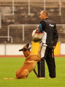 (C) Mag.a Barbara Bohn, MA