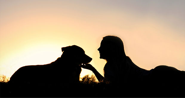 Sicher in der Dunkelheit