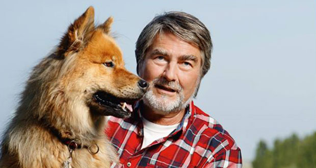 Stadtwölfe und Wildhunde