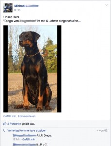 Djego durfte nur 5 Jahre alt werden