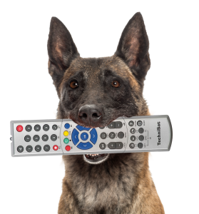 hundfernbedienung