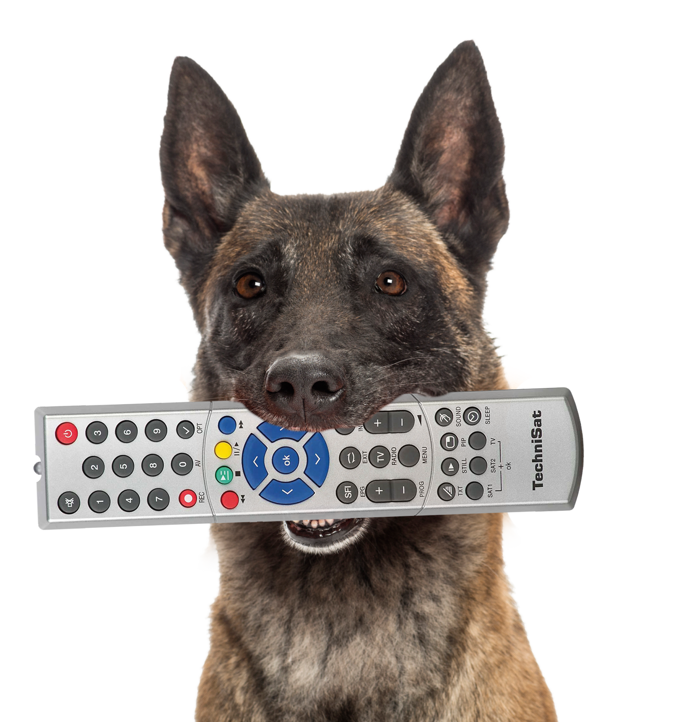 Bello, was sehen wir uns heute an?