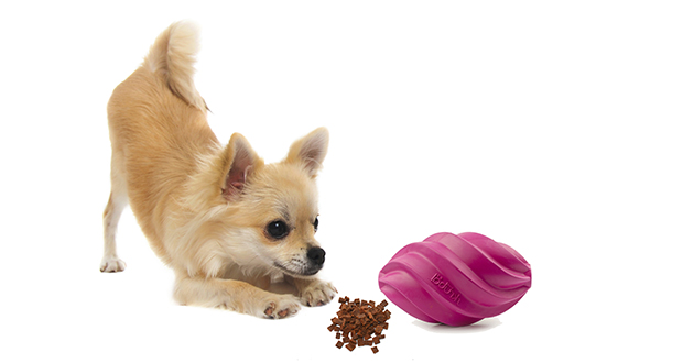 So lustig kann’s drinnen sein