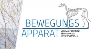 SliderBewegungsapparat