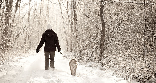 Spaziergang – Gipfel des menschlichen Egoismus?