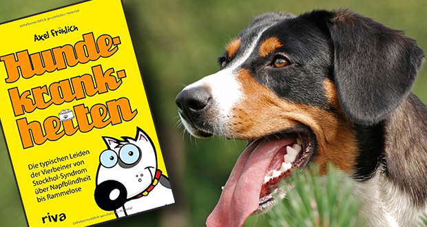 Vom Stockhol-Syndrom bis zur Sofademenz