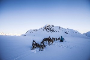 FH_Wolfshunde_Tag02_∏ServusTV105