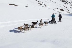 FH_Wolfshunde_Tag03_∏ServusTV029