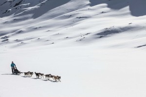 FH_Wolfshunde_Tag03_∏ServusTV056