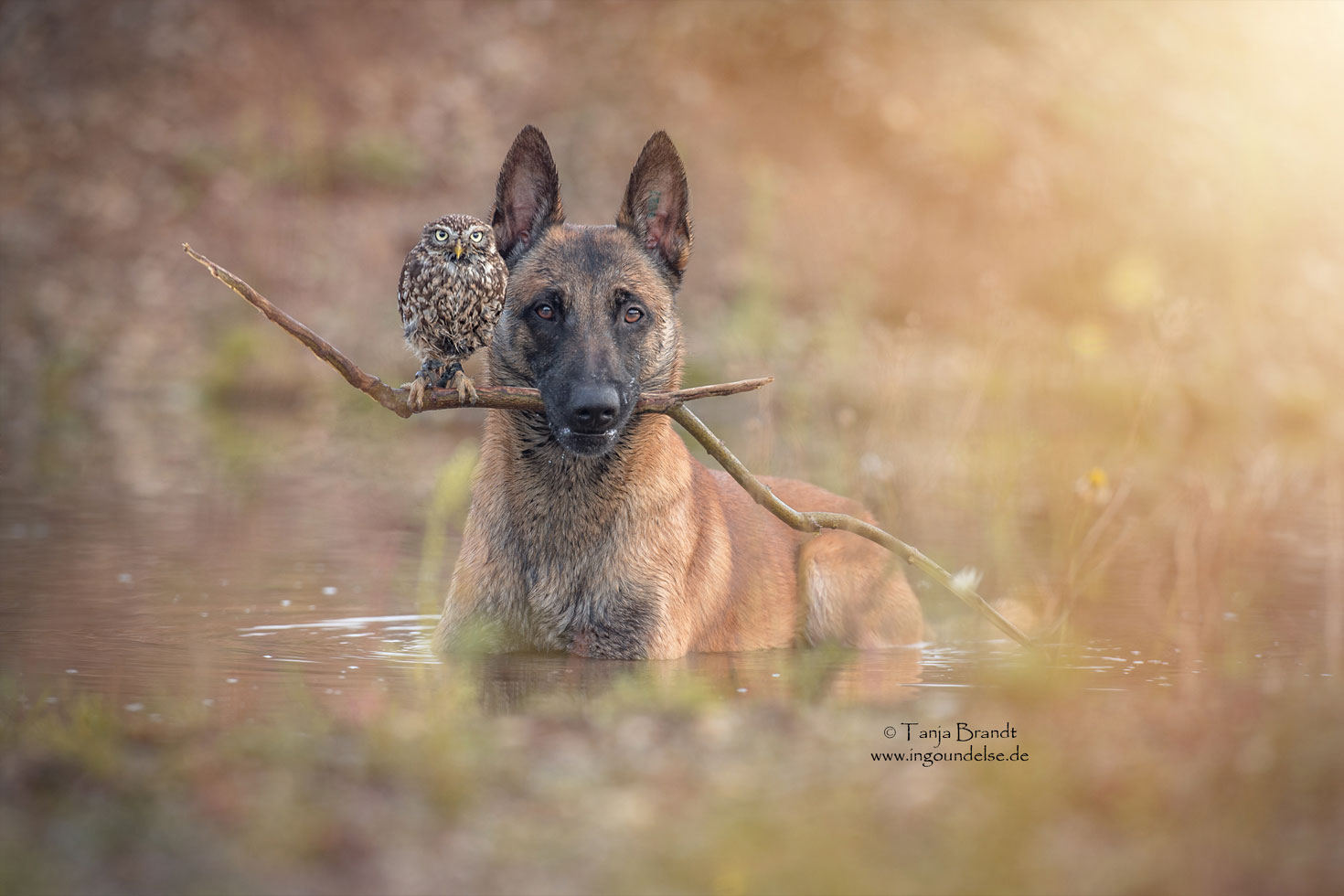 Ingo und Poldi: ihre Freundschaft geht um die Welt