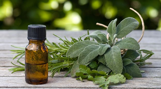 Natürlich gut – Ätherische Öle für Mensch und Hund