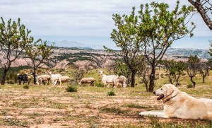 (c) www.istockphoto.com/Freila