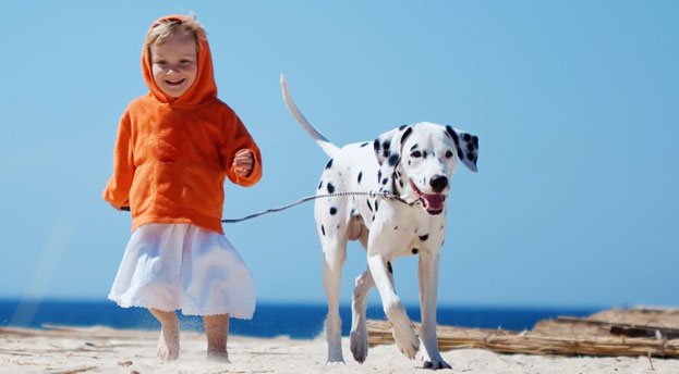 5 Gründe warum Hunde unsere wertvollsten Gefährten sind