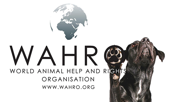 Untreueverdacht bei Tierschutzverein WAHRO