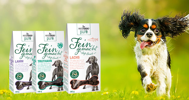 „Fein gemacht“ – Wie man Bello & Co. gute Manieren beibringen kann