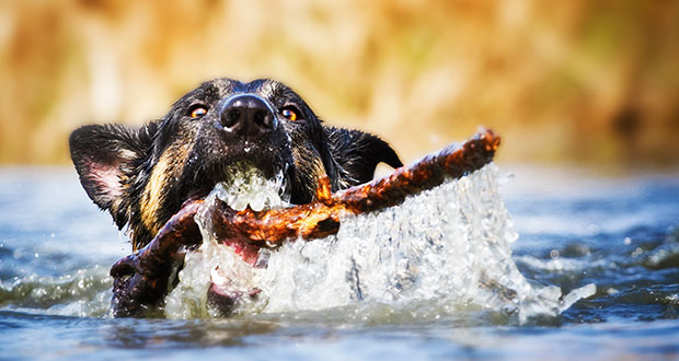 Sommerzeit ist Badezeit: Tipps für gesunden Badespaß