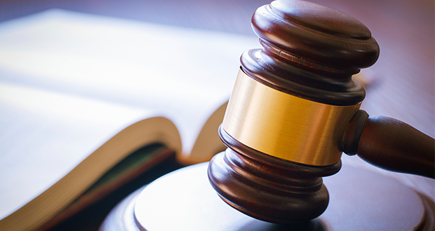 Unbedingte Haftstrafe für Rottweilerzüchter