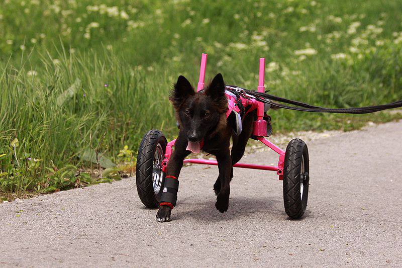 401107_175924332570926_1265323265_n